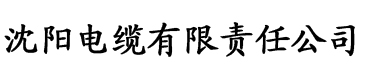 狠狠干狠狠爱电缆厂logo